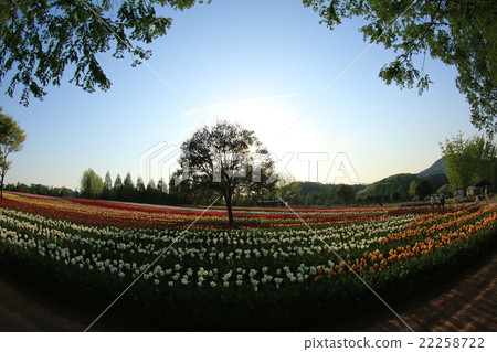 切割場540 切割場540 22258722