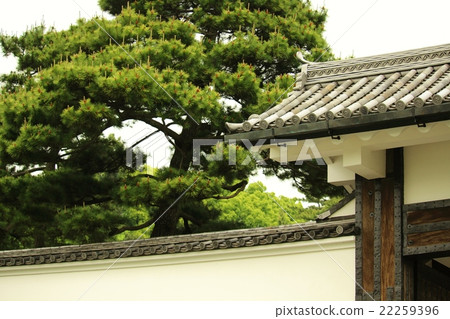 Sakuradamon和新鮮的綠松 22259396