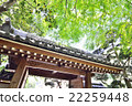Fresh green and a temple 22259448