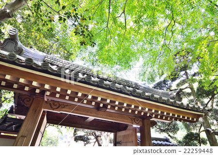 新鮮的綠色和一座寺廟 新鮮的綠色和一座寺廟 22259448