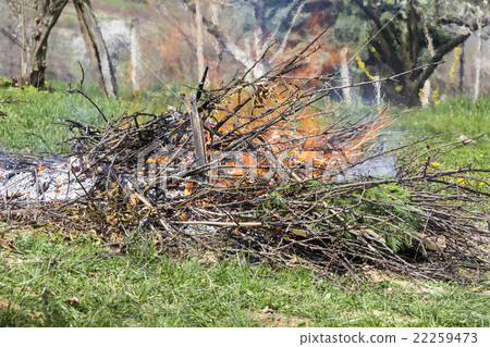 Fire and Smoke from during Burning branches Fire and Smoke from during Burning branches 22259473