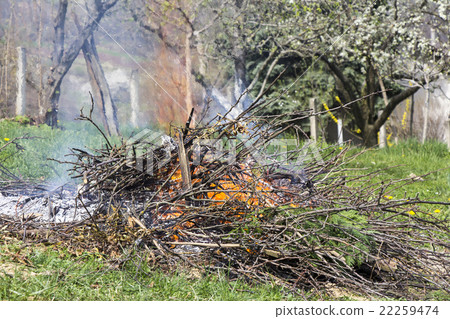 Fire and Smoke from during Burning branches 22259474