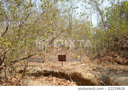 Pha Chau canyon of Chiang Mai, Thailand Chiang Mai 22259626