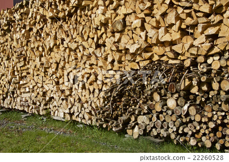 Wood laminated 22260528