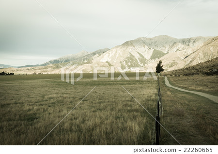 Castle hill, New Zealand 22260665