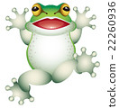 A frog 22260936