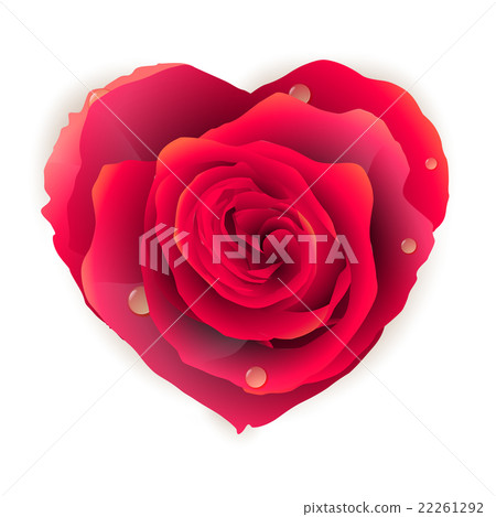 Isolated beautiful red rose heart. EPS 10 - Stock Illustration ...