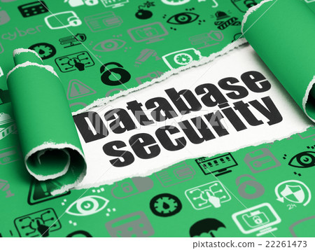 Privacy concept: black text Database Security 22261473