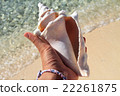 shell 22261875