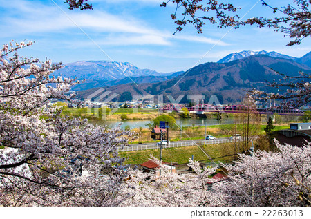 飯山城遺址公園 22263013