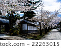 Futenmaji的櫻花 22263015