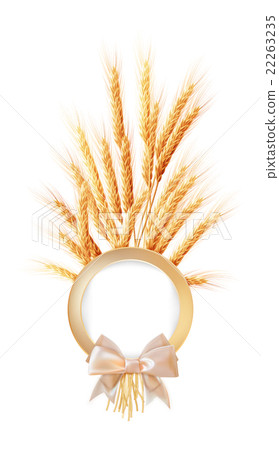 Ears of wheat with place for text. EPS 10 22263235