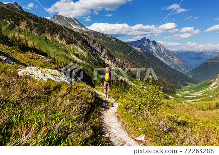 Hike in Canada 22263288