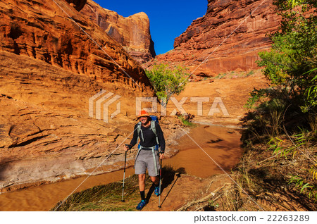 Hike in Coyote gulch 22263289