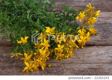 big bunch of fresh yellow flowers Hypericum 22265241
