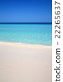 Caribbean sea beach  22265637