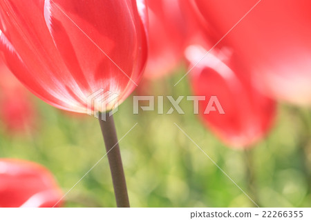 Cutting-edge field 659 Cutting-edge field 659 22266355