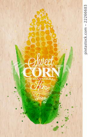 Corn watercolor poster Corn watercolor poster 22266683