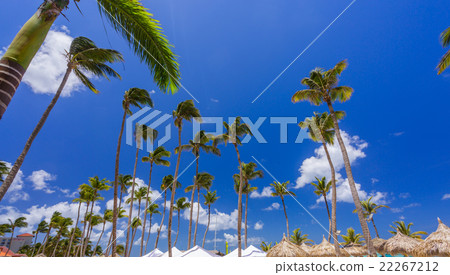 Bungalows and blue sky with palms 22267212