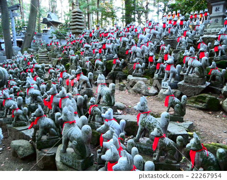 Toyokawa Inari shrine fox 22267954