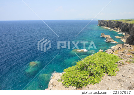 Cape Shin-ei Reef 22267957