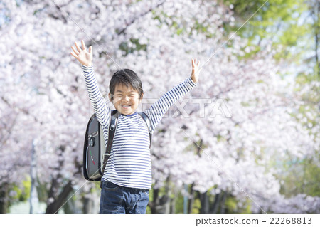 Cherry blossoms and new semester boy 22268813