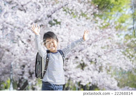 Cherry blossoms and new semester boy 22268814