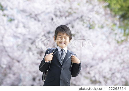 櫻花和新學期的男孩 22268834