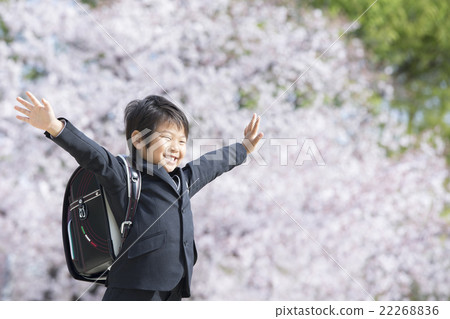 櫻花和新學期的男孩 22268836