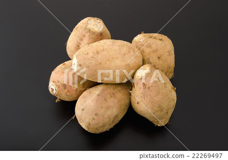Anno potato 22269497