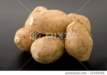 Anno potato 22269498