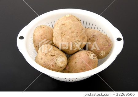 Anno potato 22269500