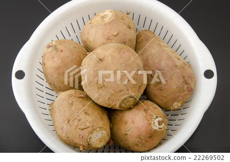 Anno potato 22269502