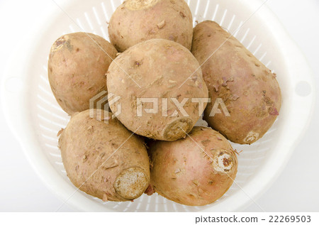 Anno potato 22269503