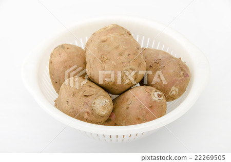 Anno potato 22269505