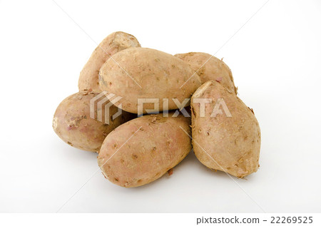 Anno potato 22269525