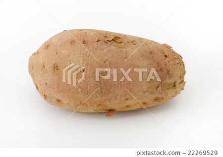 Anno potato 22269529