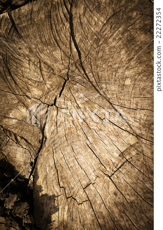 Wood texture Wood texture 22272354