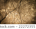 Brown wood texture 22272355