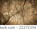 Old wood background 22272356