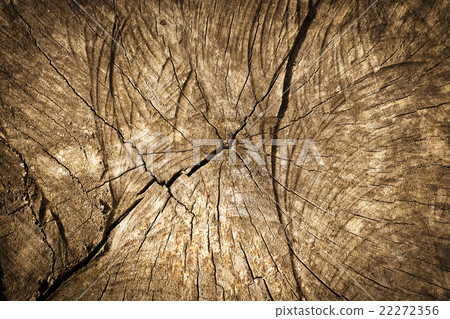 Old wood background Old wood background 22272356