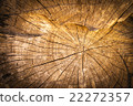 natural wood background 22272357
