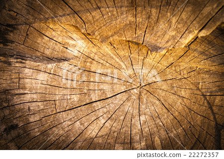 natural wood background natural wood background 22272357