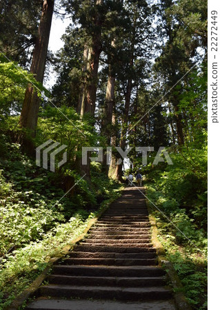 Mt. Haguroyama米其林山冠·綠色指南·Japon收購Mitsuzu Star 22272449