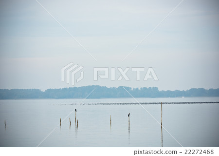 Northern Sea landscape Northern Sea landscape 22272468