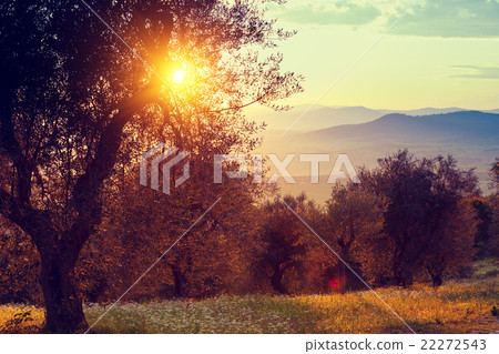 Sunset in the mountains. 22272543