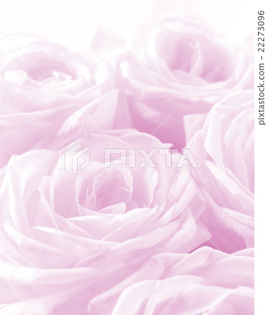 Beautiful pink roses as wedding background Beautiful pink roses as wedding background 22273096