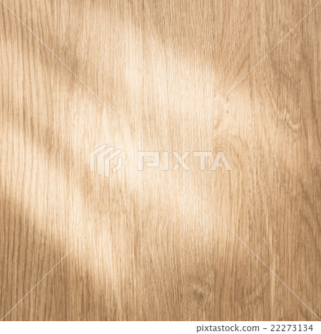 wood texture with natural light wood texture with natural light 22273134