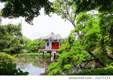Oruyama的Benten Pond 22273154