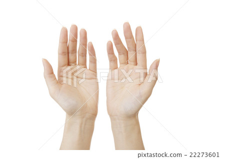 Female hand Female hand 22273601